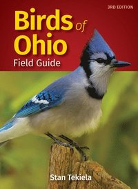 bokomslag Birds of Ohio Field Guide