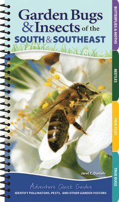 Garden Bugs & Insects of the South & Southeast 1