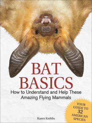 Karen Krebbs - Bat Basics, Inbunden
