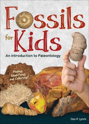 Fossils for Kids 1