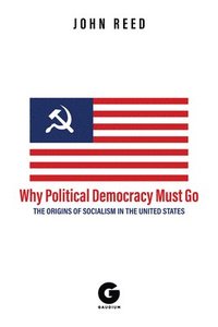 bokomslag Why Political Democracy Must Go: The Origins of Socialism in the United States