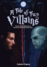 bokomslag A Tale of Two Villains