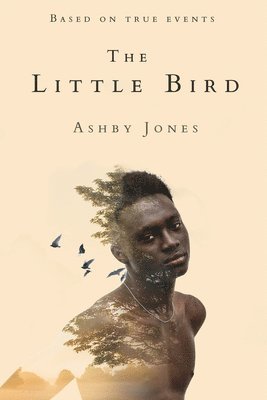 Little Bird 1