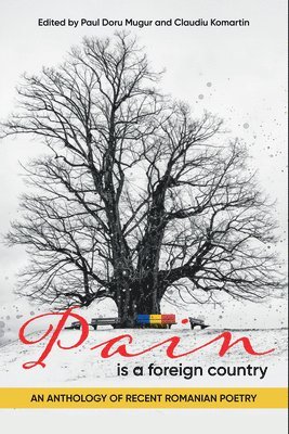 Paul Doru Mugur - Pain Is a Foreign Country, Häftad