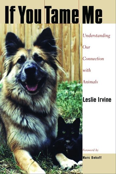 Leslie Irvine - If You Tame Me, Häftad