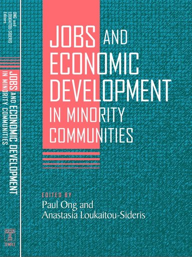 bokomslag Jobs and Economic Development in Minority Communities