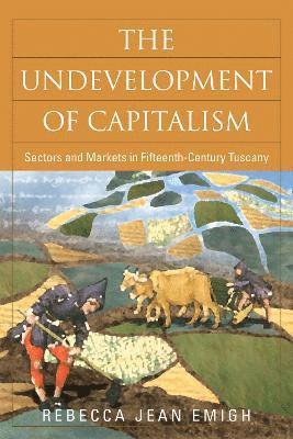 bokomslag The Undevelopment of Capitalism