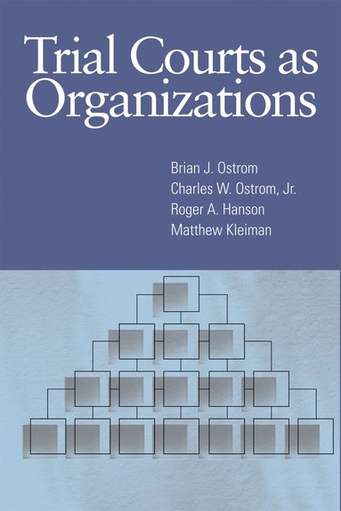 bokomslag Trial Courts As Organizations
