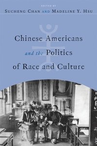 bokomslag Chinese Americans and the Politics of Race and Culture