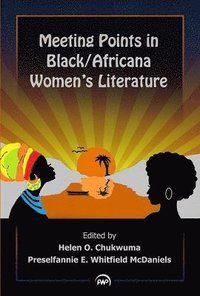 bokomslag Meeting Points in Black/Africana Women's Literature