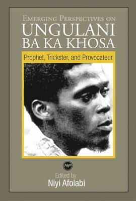bokomslag Emerging Perspectives On Ungulani Ba Ka Khosa