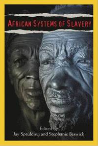 bokomslag African Systems of Slavery