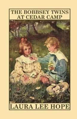 Laura Lee Hope - Bobbsey Twins at Cedar Camp, Häftad