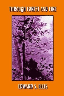 Through Forest and Fire