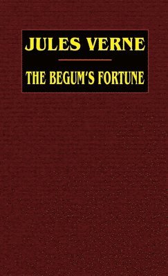 bokomslag The Begum's Fortune