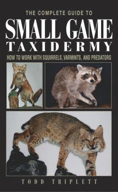 bokomslag Complete Guide to Small Game Taxidermy