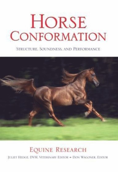 bokomslag Horse Conformation