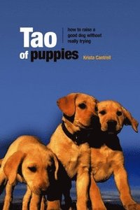 bokomslag Dog Culture