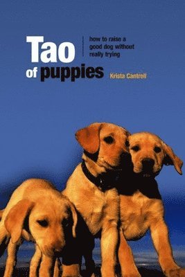 bokomslag Dog Culture