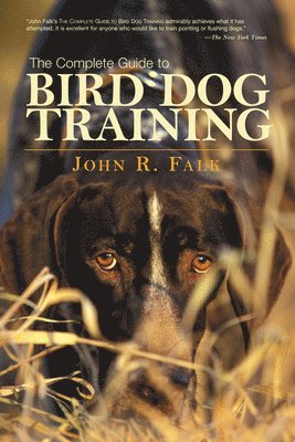 bokomslag Complete Guide to Bird Dog Training