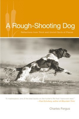 Rough-Shooting Dog 1