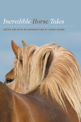 bokomslag Incredible Horse Tales