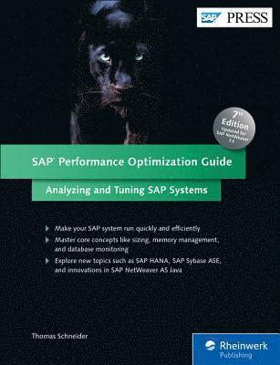 SAP Performance Optimization Guide