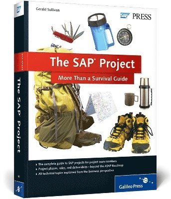 The SAP Project 1