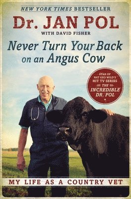 Never Turn Your Back on an Angus Cow 1