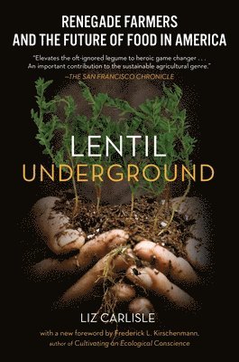 Lentil Underground 1