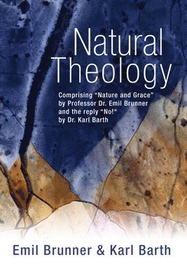 bokomslag Natural Theology