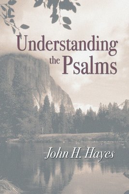 John H Hayes - Understanding the Psalms, Häftad