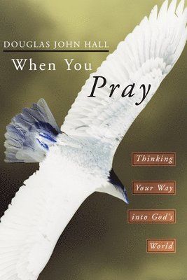 Douglas John Hall - When You Pray, Häftad