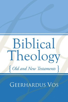 bokomslag Biblical Theology