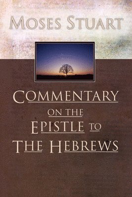 bokomslag Commentary on the Epistle to the Hebrews