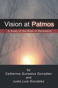 bokomslag Vision at Patmos