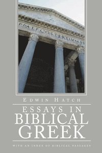bokomslag Essays in Biblical Greek