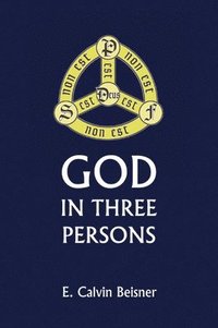 bokomslag God in Three Persons