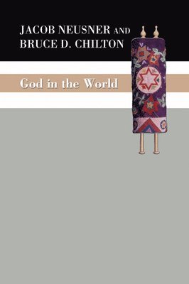 Jacob Neusner, Bruce D Chilton - God in the World, Häftad
