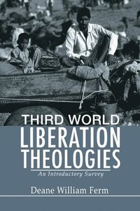 bokomslag Third World Liberation Theologies