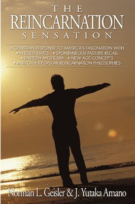 The Reincarnation Sensation 1