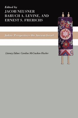 Jacob Neusner, Baruch A Levine, Ernest S Frerichs - Judaic Perspectives on Ancient Israel, Häftad