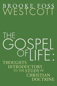 bokomslag Gospel of Life