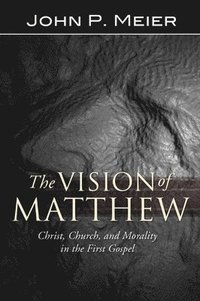 bokomslag The Vision of Matthew