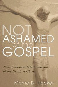 bokomslag Not Ashamed of the Gospel