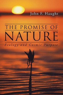 The Promise of Nature 1