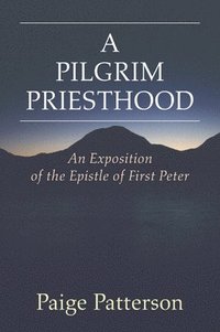 bokomslag A Pilgrim Priesthood