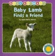Baby Lamb Finds a Friend