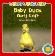 Baby Duck Gets Lost