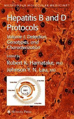 bokomslag Hepatitis B and D Protocols